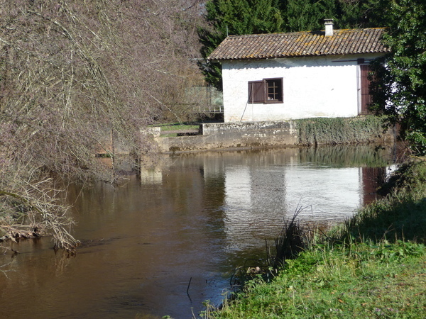 Cercle Hippique de Moulin Neuf Les équipements